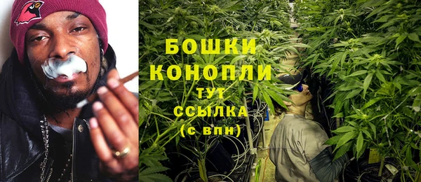 шишки Лагань