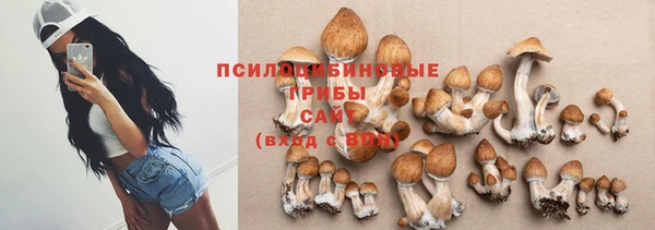 шишки Лагань