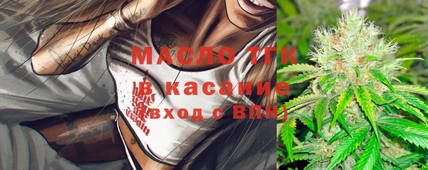 шишки Лагань