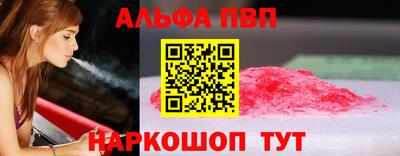 гашик Кингисепп