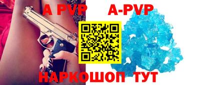 гашик Кингисепп