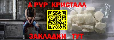гашик Кингисепп