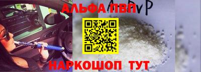 гашик Кингисепп