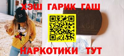 гашик Кингисепп