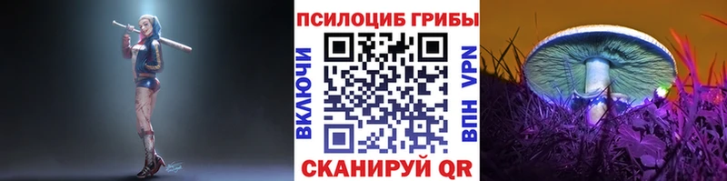 Псилоцибиновые грибы GOLDEN TEACHER  Новокубанск 