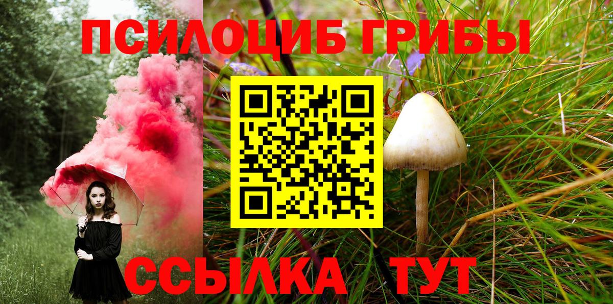 Псилоцибиновые грибы Cubensis  Вход с VPN  Новокубанск 