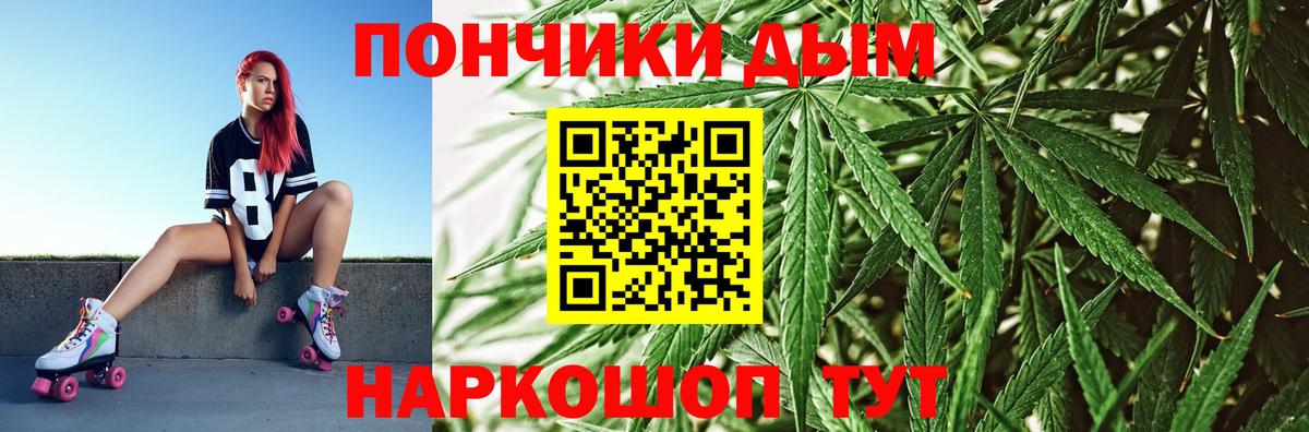 МАРИХУАНА сатива Новокубанск